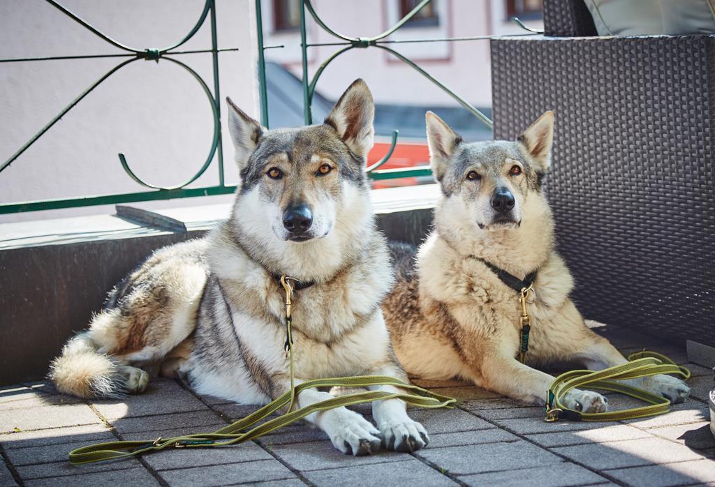Hotel Wechselberger Saalbach-Hinterglemm Cameră foto